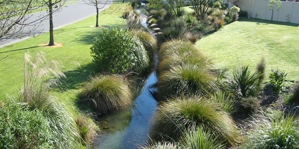 Fresh Water Ecology